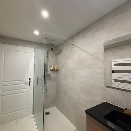 Large Modern - Terrace - Parking Colmar