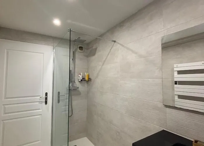 T3 Hypercentre 10min - Parking Gratuit 科尔马